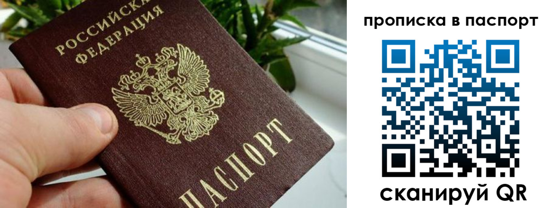 пропишу в квартире в Мариинском Посаде